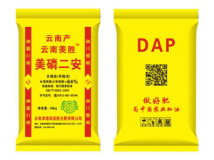 ������ʤ ���׶���