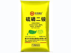 ��ũ��̨ ���׶��